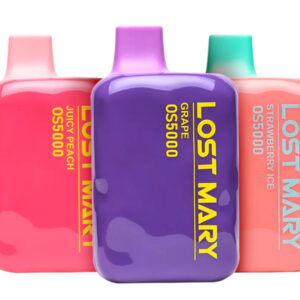 Lost Mary OS5000 Disposable